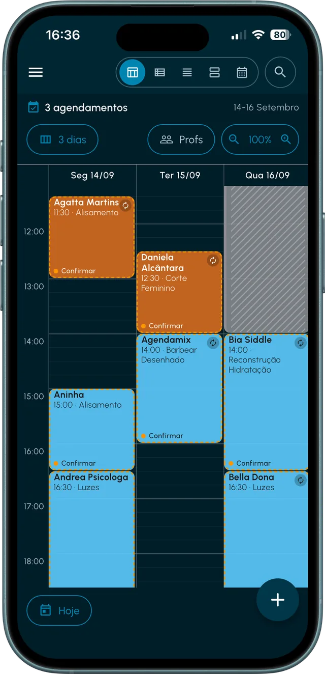 Schedule in Planner view